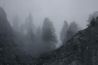 Yosemite Fog.jpg